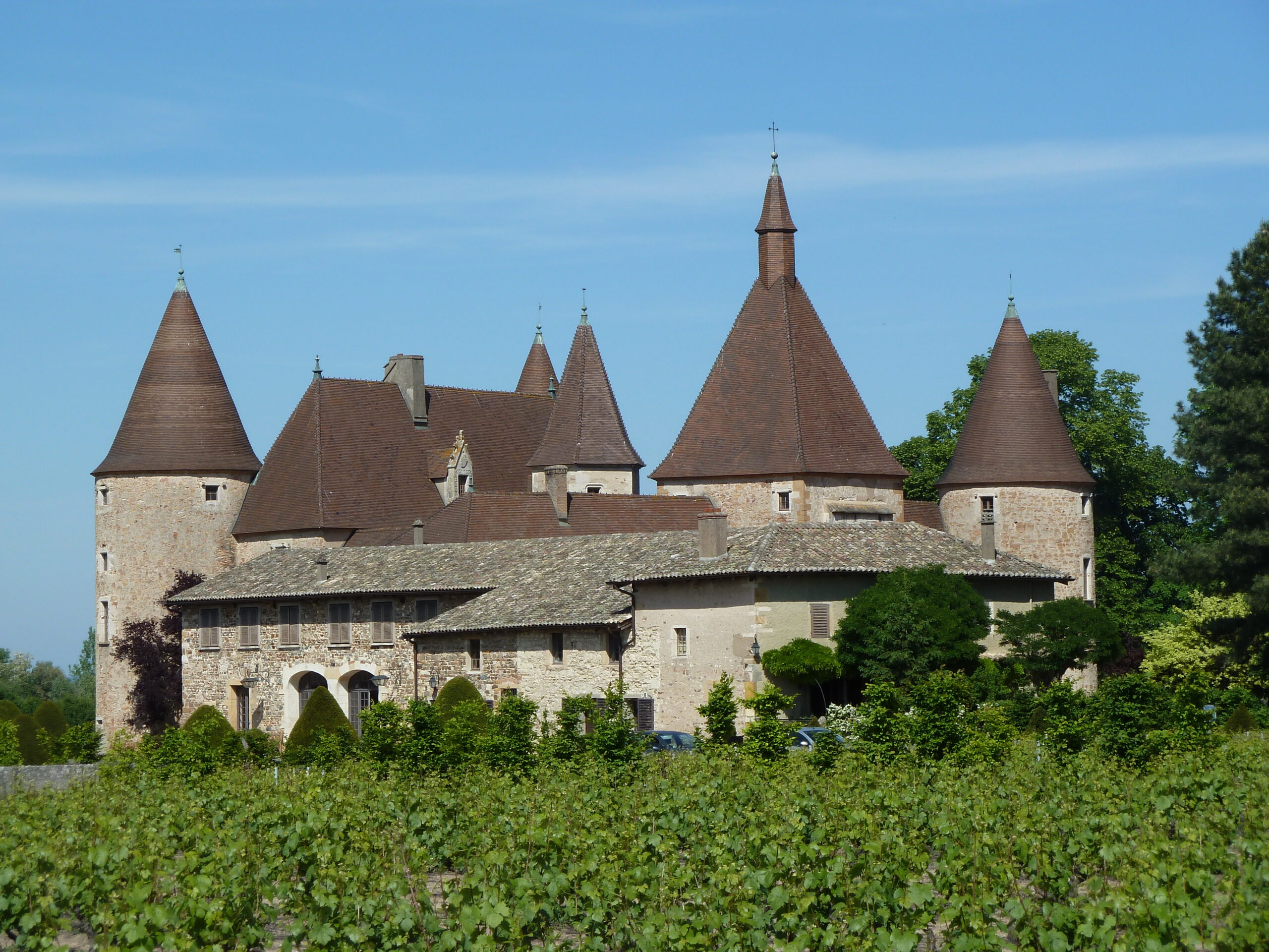 Saiba sobre o vinho Beaujolais, um vinho tinto produzido na região da Borgonha, na França. Você vai se surpreender com a variedade de sabores.