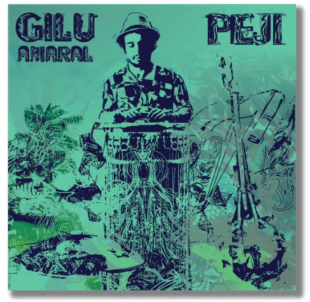 músicos brasileiros: Gilu Amaral